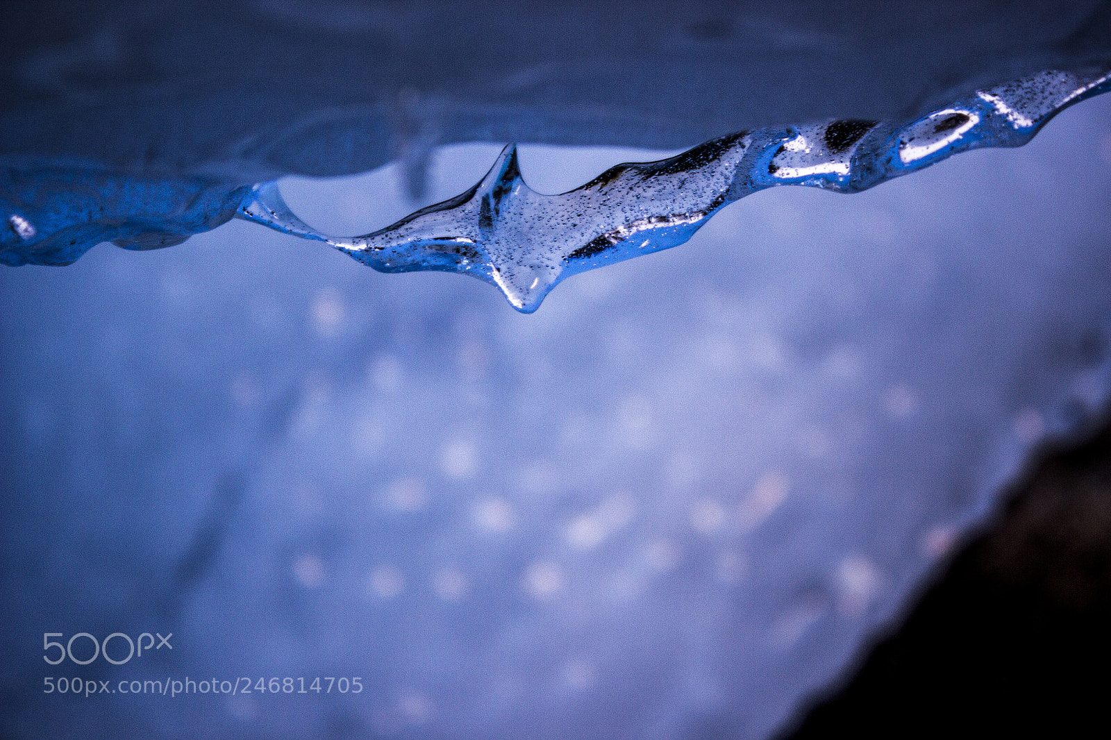 Canon EOS 600D (Rebel EOS T3i / EOS Kiss X5) sample photo. Raindrop icedup photography