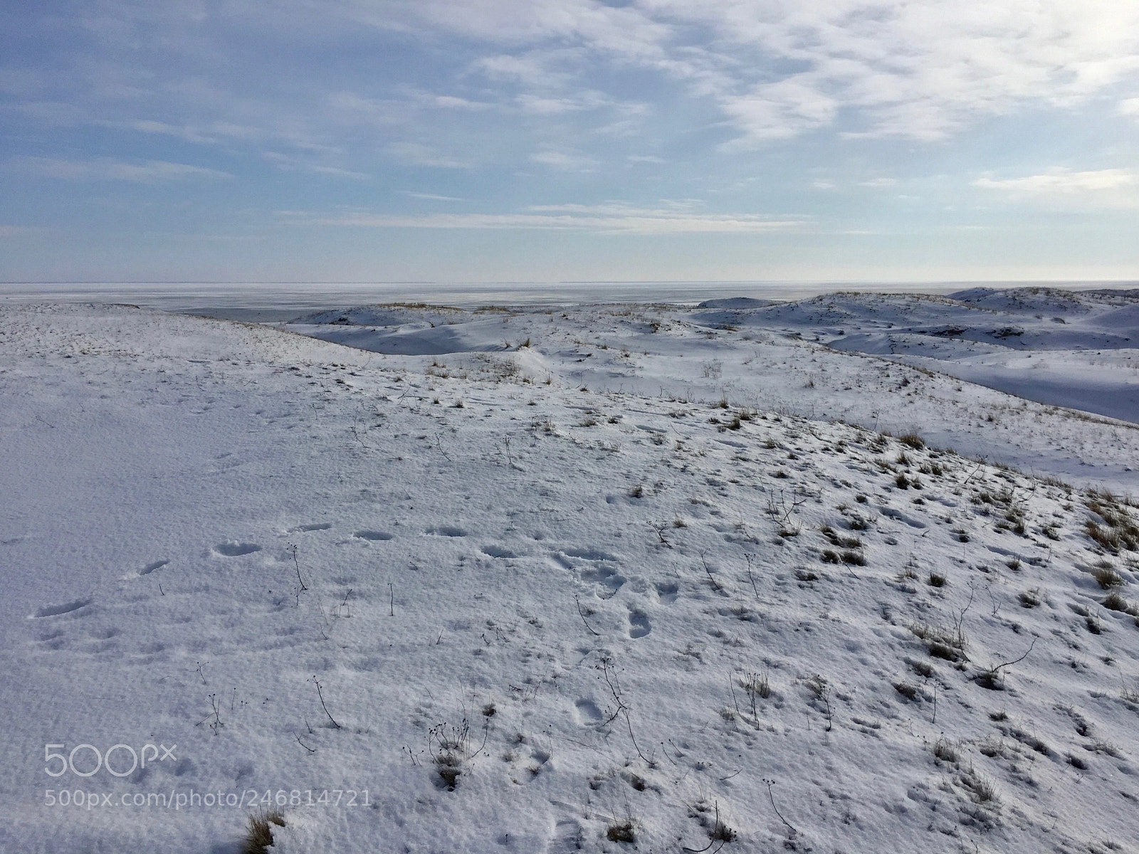 Apple iPhone 6 sample photo. Frozen land photography