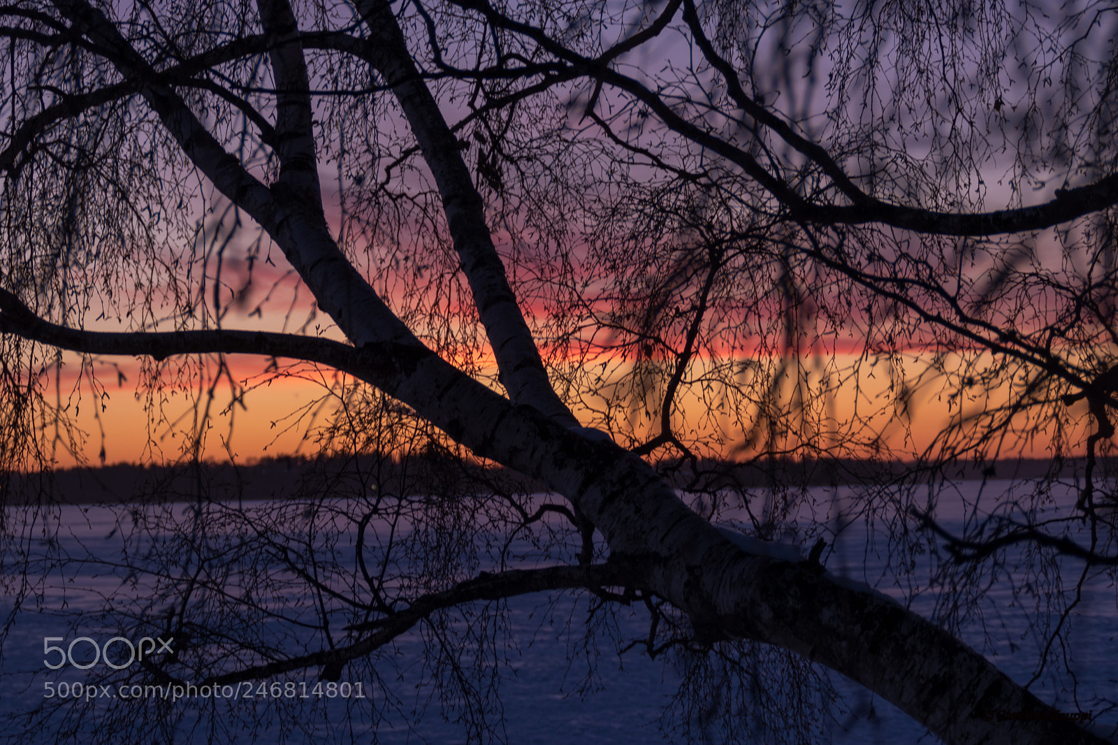 Canon EOS 750D (EOS Rebel T6i / EOS Kiss X8i) sample photo. Silhouettes-helsinki photography