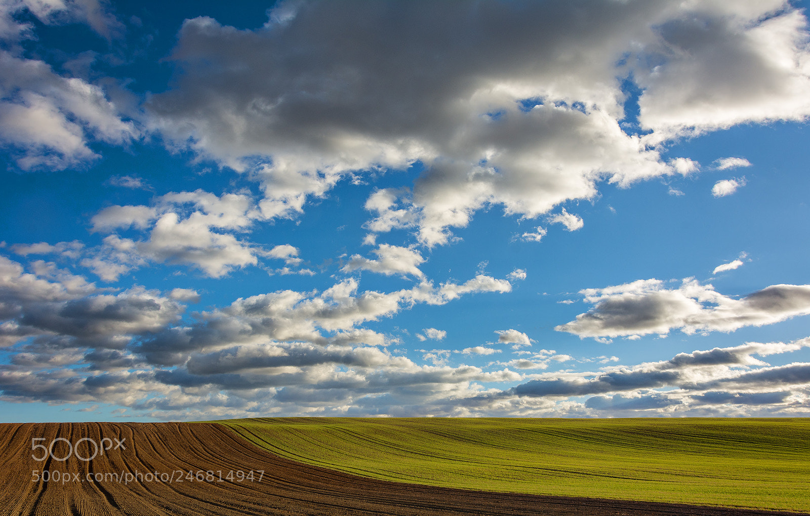 Nikon D7100 sample photo. Tarde campestre photography