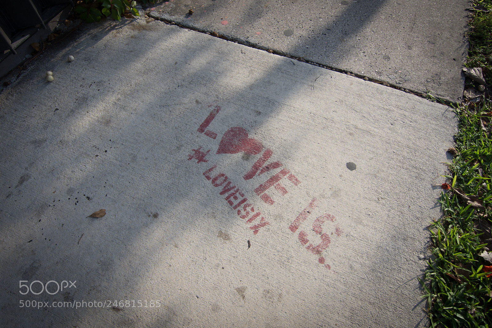 Nikon D7200 sample photo. Miami photography
