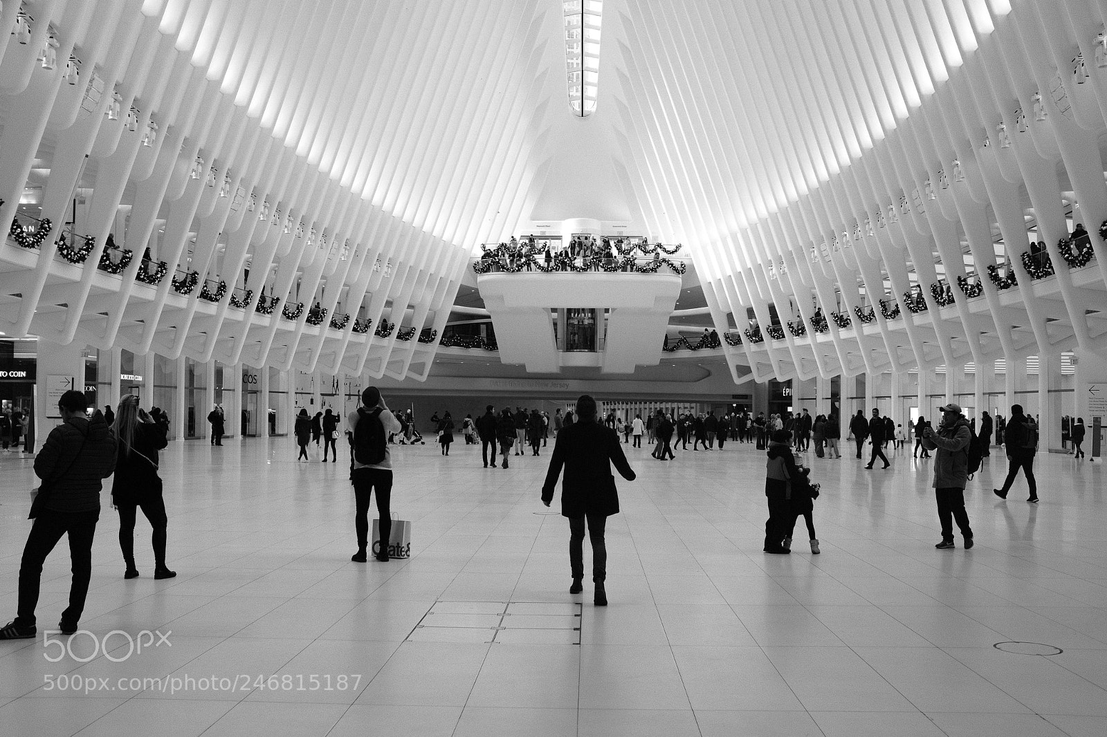 Fujifilm X100F sample photo. Into the oculus photography