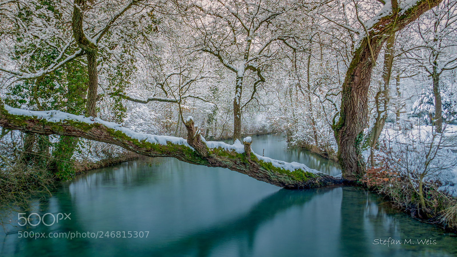 Olympus OM-D E-M10 II sample photo. River blau at winter.... photography