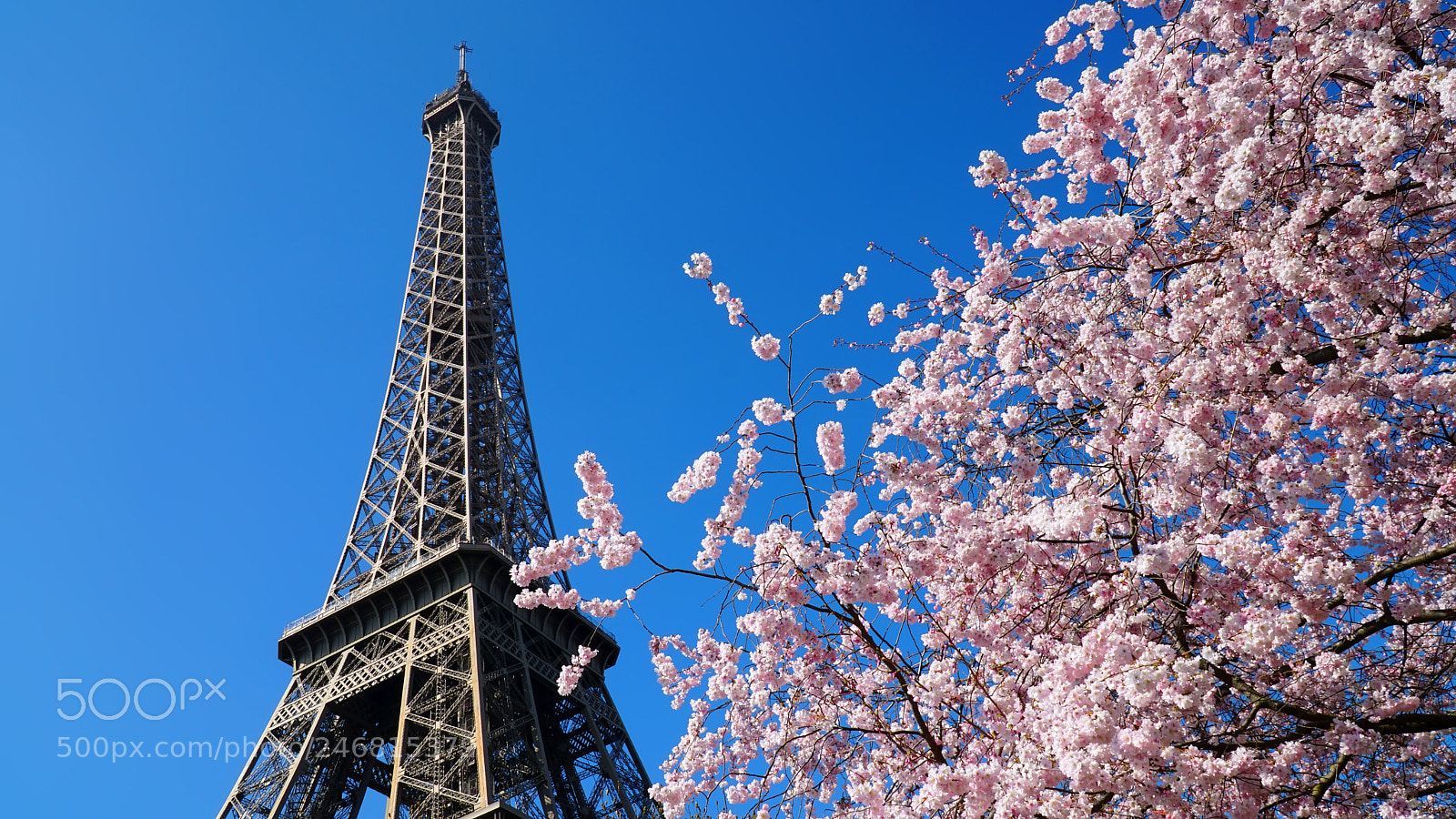 Sony a6500 sample photo. Eiffel tower in spring photography