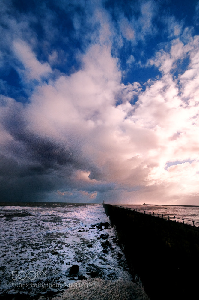 Nikon D300 sample photo. Tynemouth photography