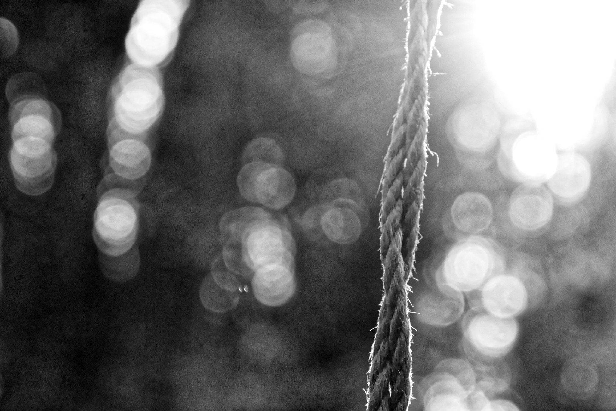 Nikon D3100 sample photo. The rope photography