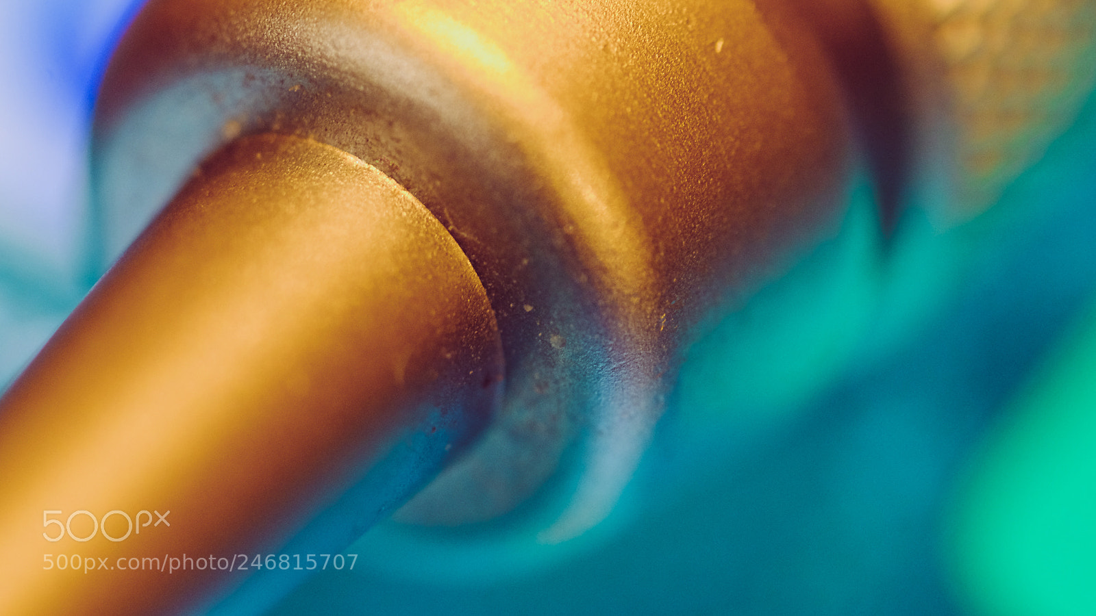 Fujifilm X-T20 sample photo. Macro photography