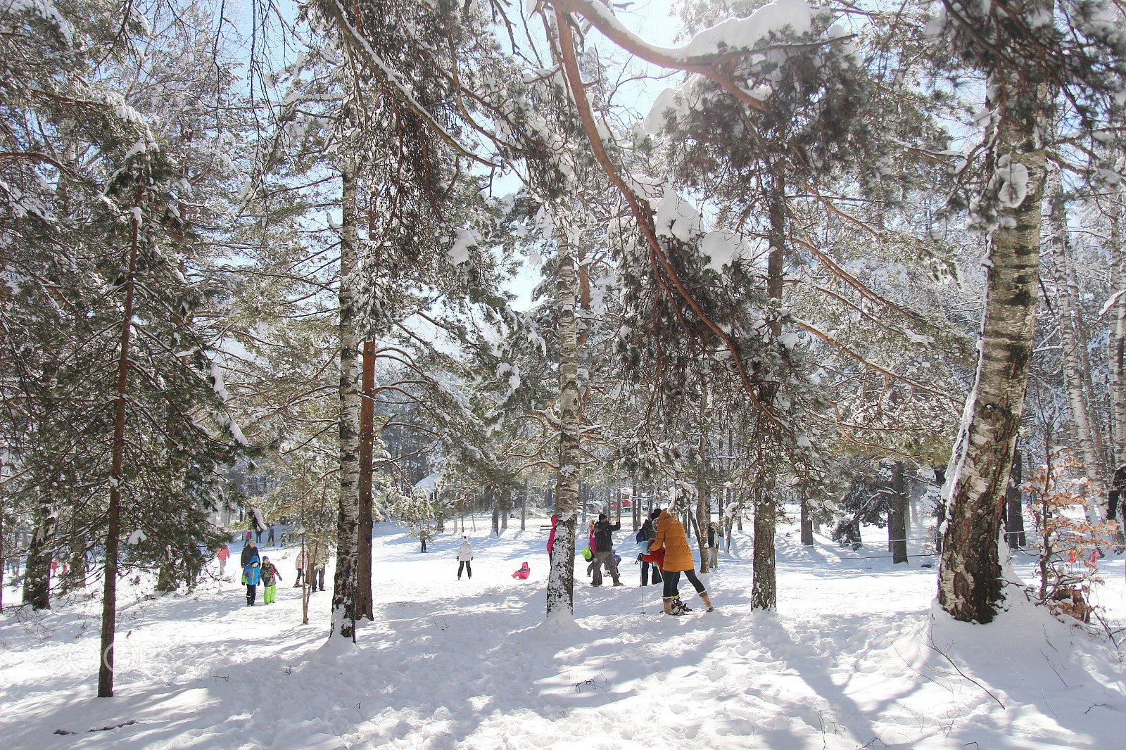 Canon EF-S 17-55mm F2.8 IS USM sample photo. Childish game on snow photography
