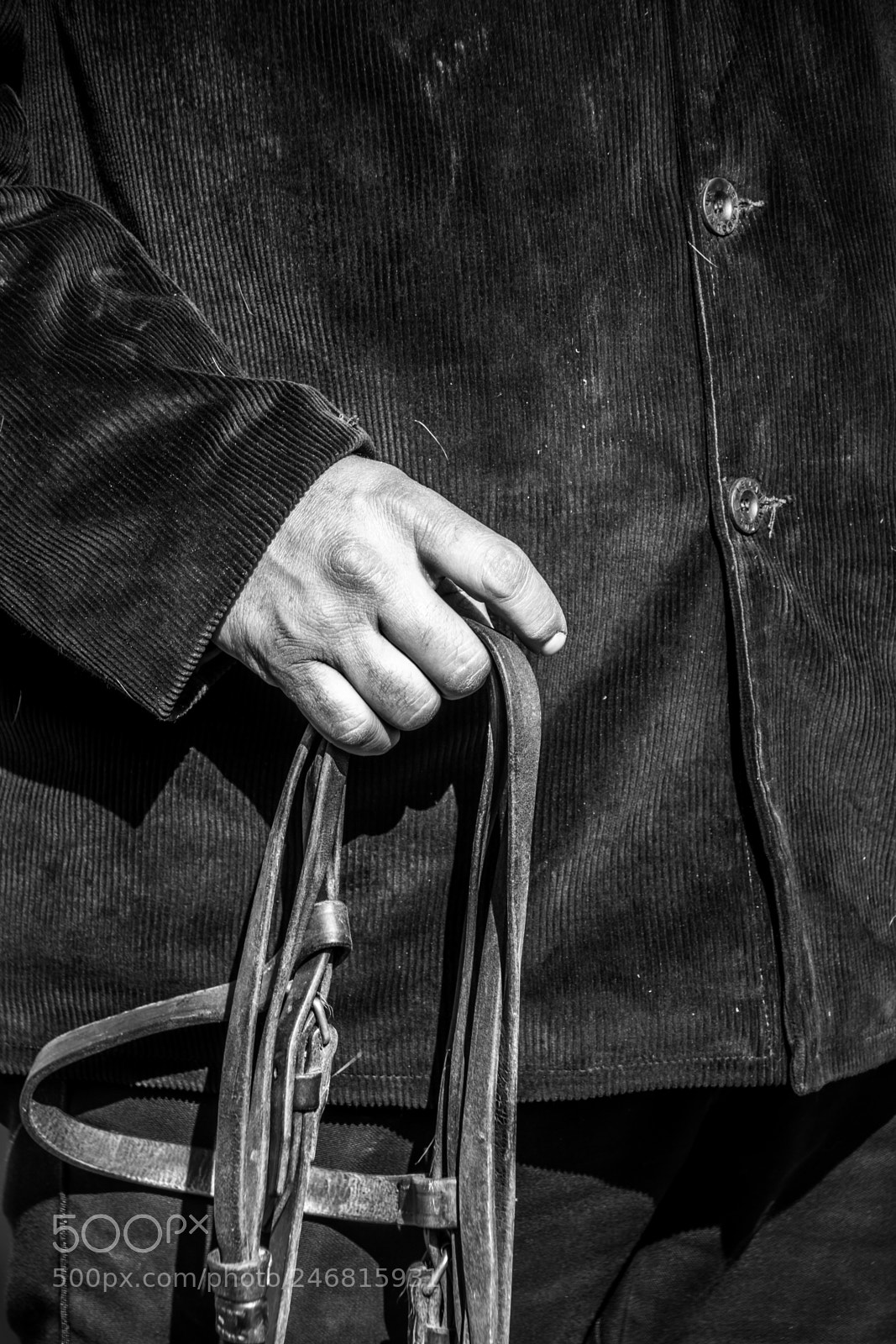 Nikon D7100 sample photo. Farmer photography