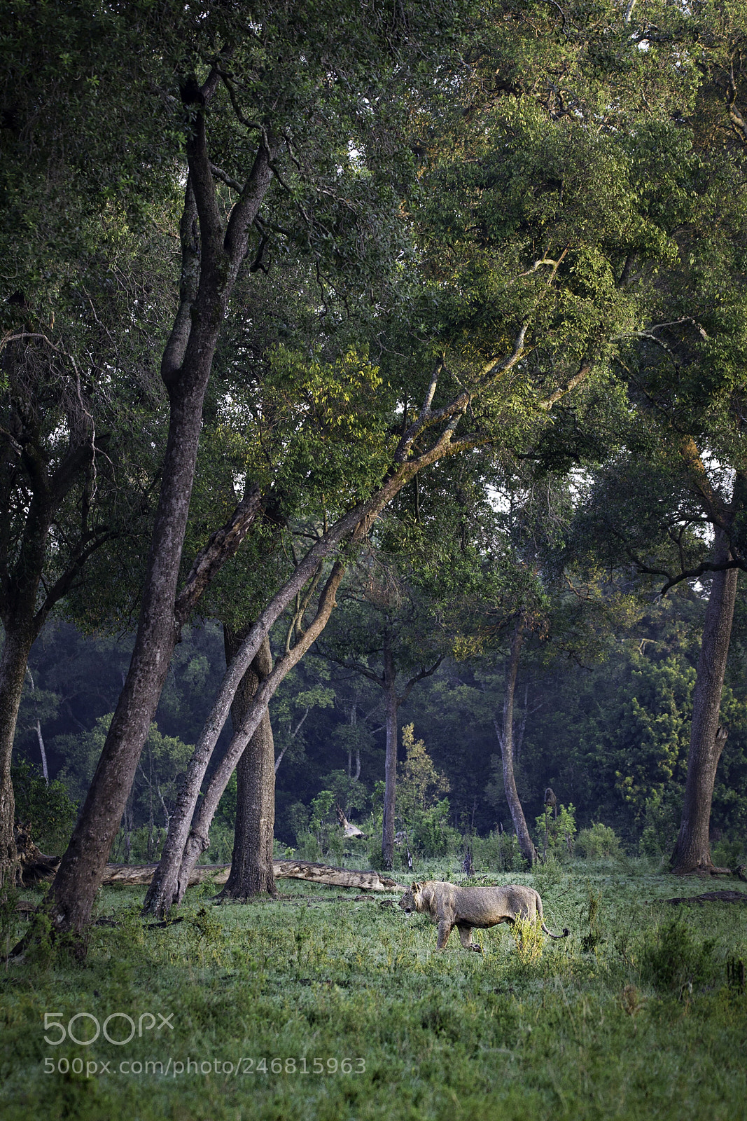 Canon EOS-1D Mark IV sample photo. Patrol photography