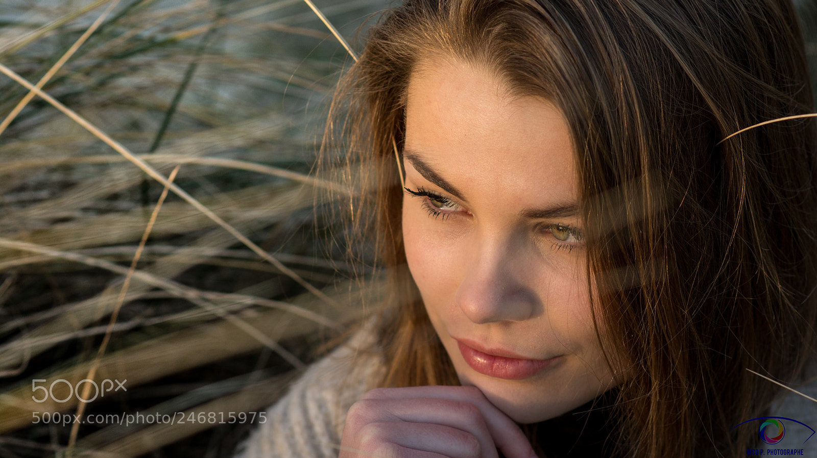Nikon D7100 sample photo. Nic_3299-1.jpg photography