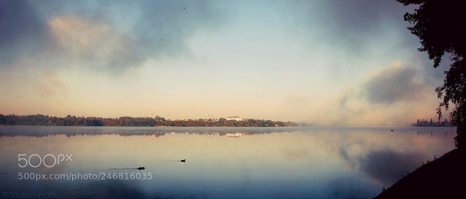 Nikon D60 sample photo. Reflection photography
