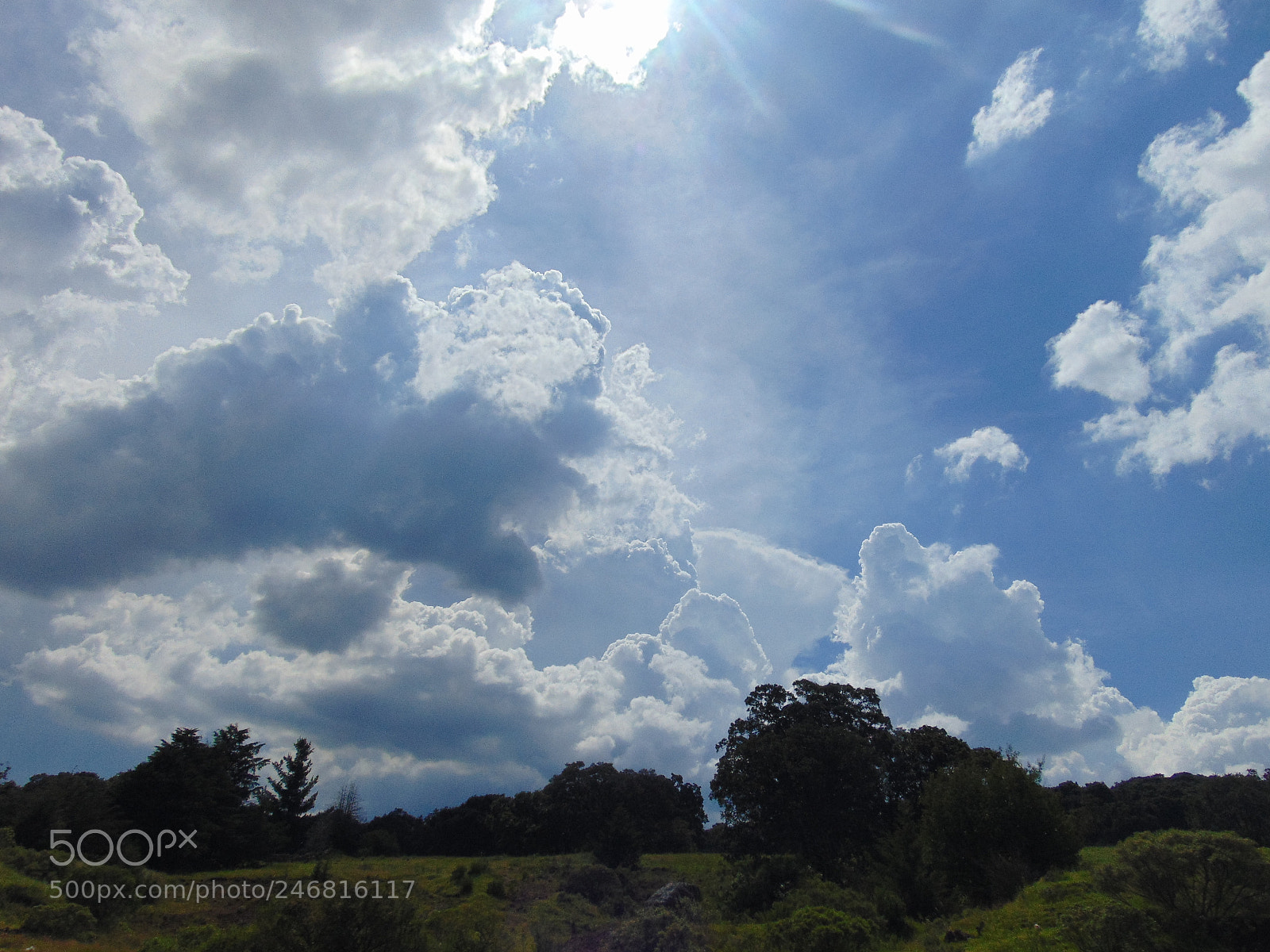 Sony Cyber-shot DSC-H300 sample photo. Sky photography