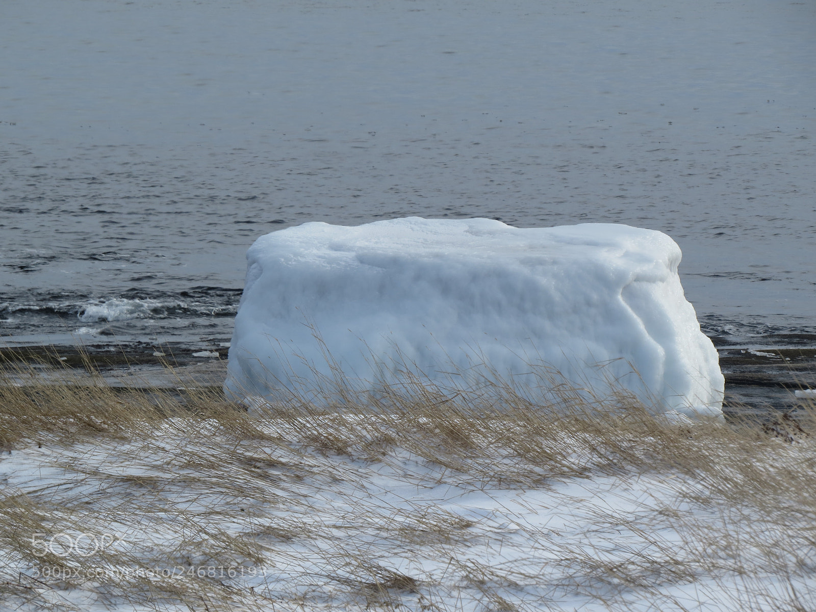 Canon PowerShot SX50 HS sample photo. Encased in ice photography