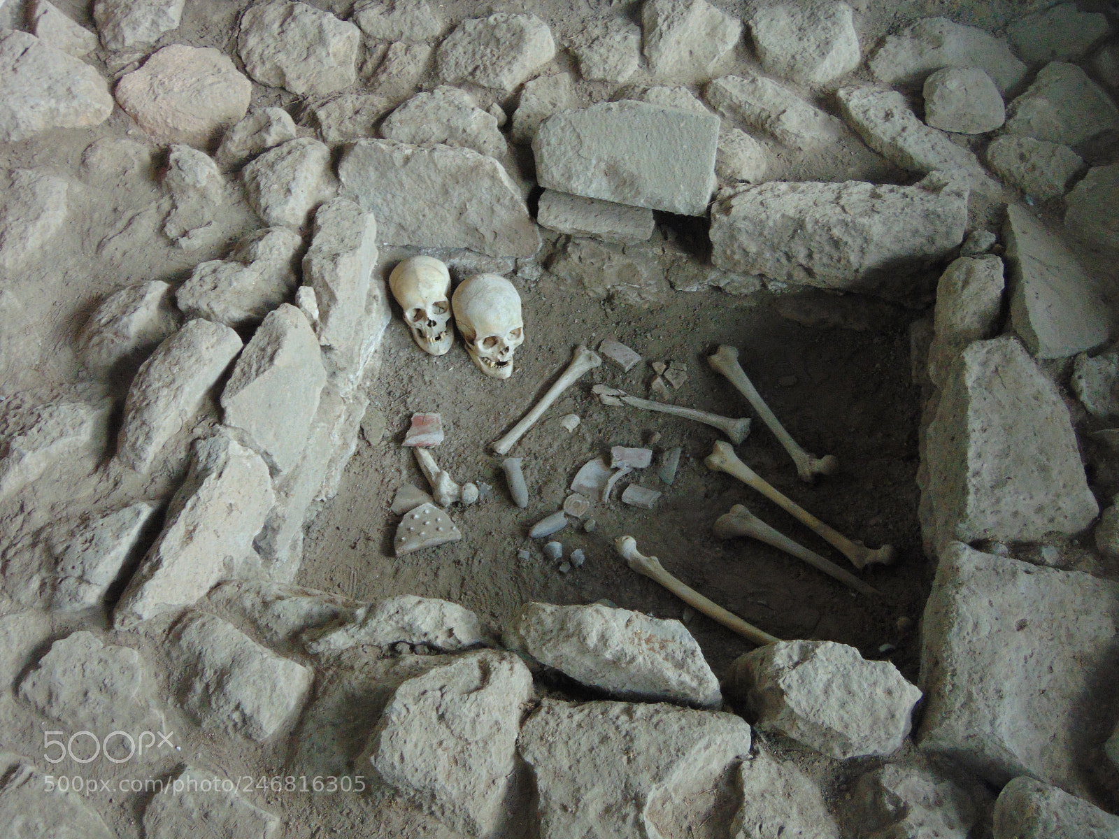 Sony Cyber-shot DSC-H300 sample photo. Bones, at the museum photography