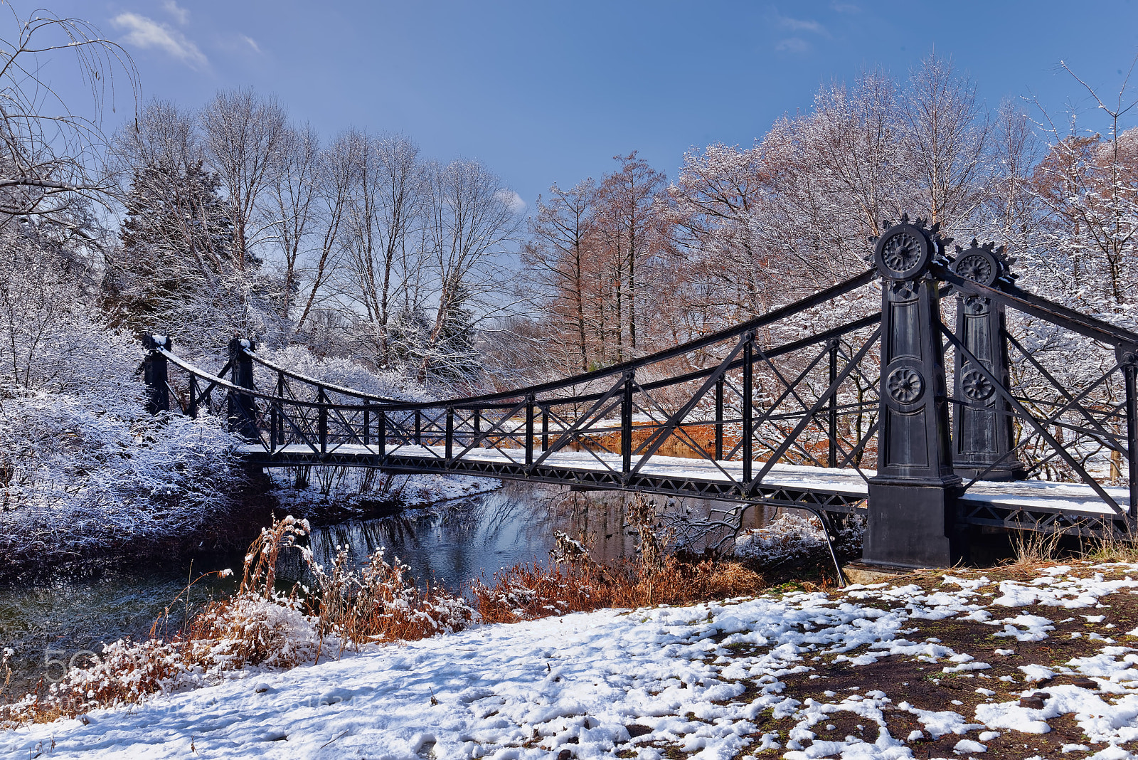 Nikon D610 sample photo. Victorian footbridge photography