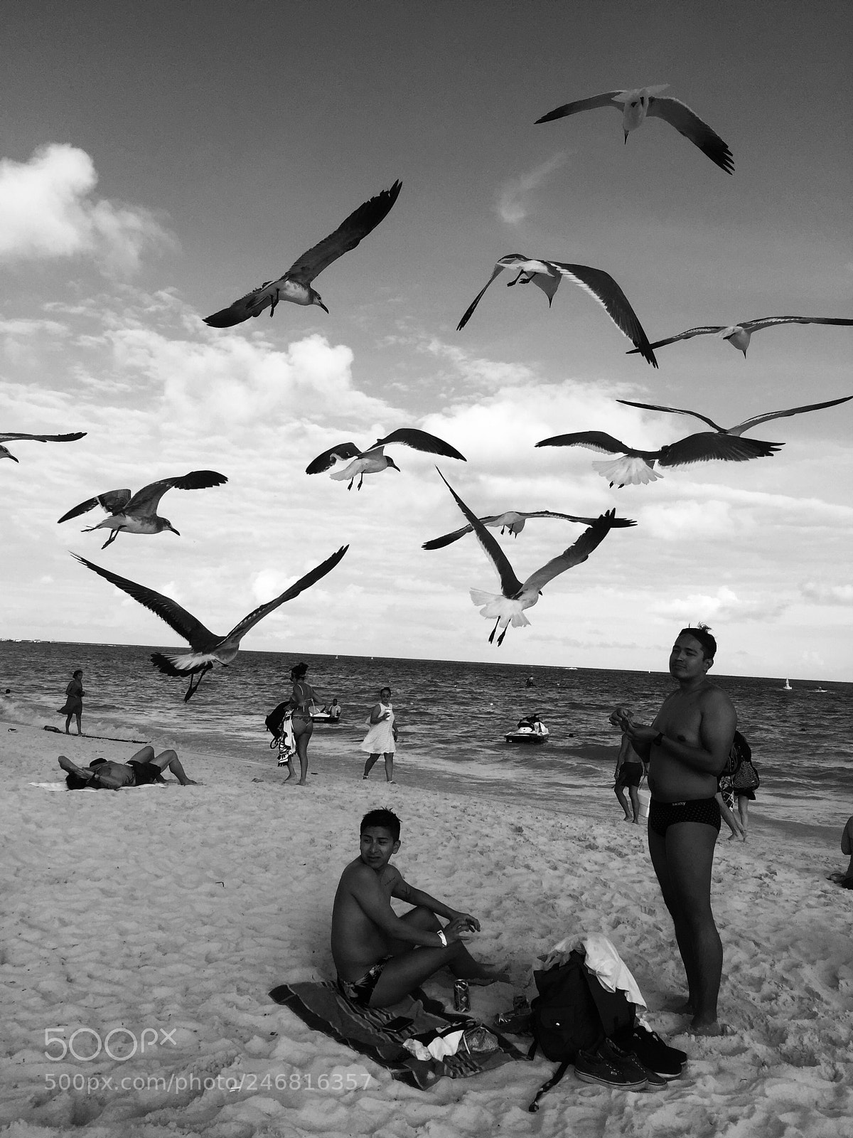 Apple iPhone 6 Plus sample photo. Birds on the beach. photography
