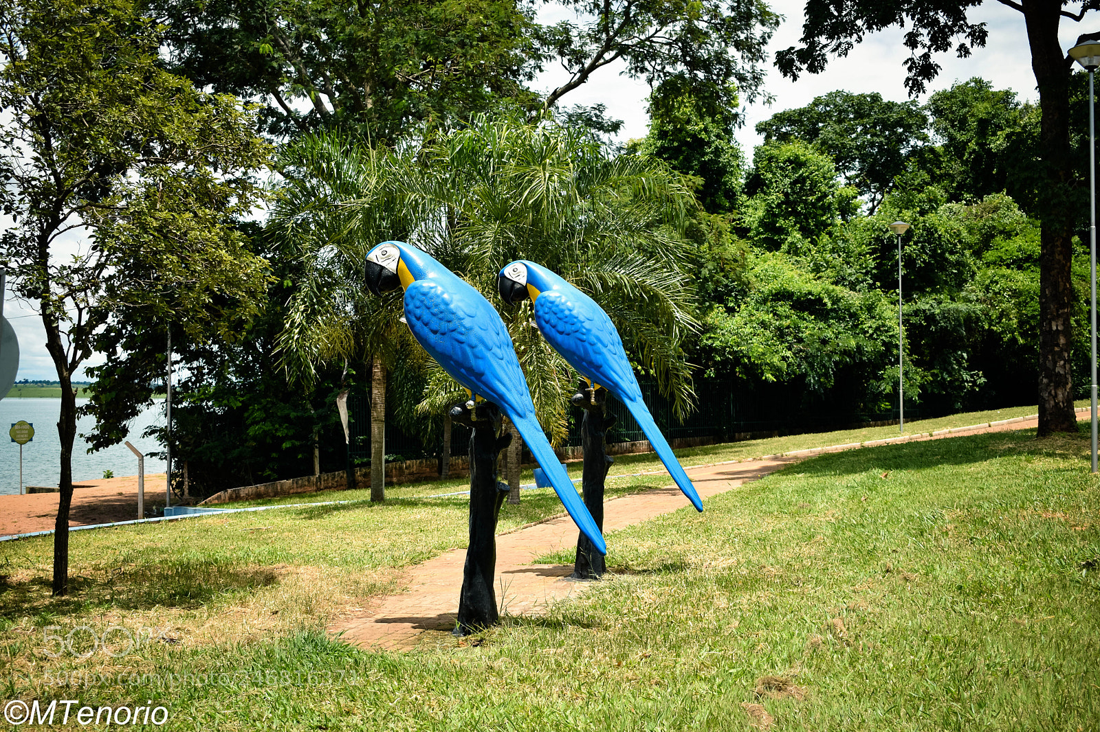 Nikon D3400 sample photo. Dsc_0343 photography
