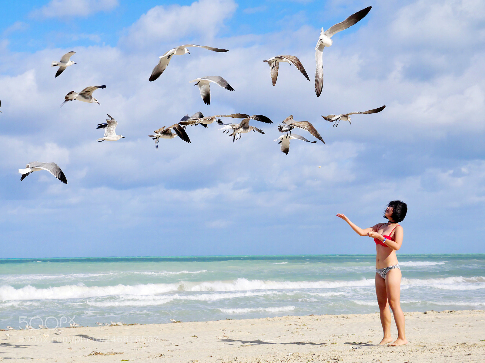 Panasonic Lumix DMC-GX8 sample photo. Feeding seagulls at varadero photography