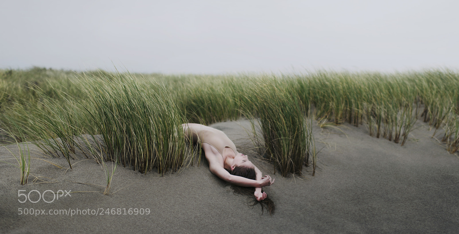Nikon D810 sample photo. Beneath the wind photography