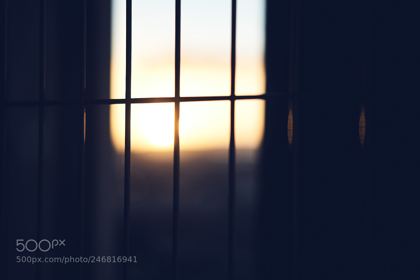 Sony a7R II sample photo. Day fifty one photography