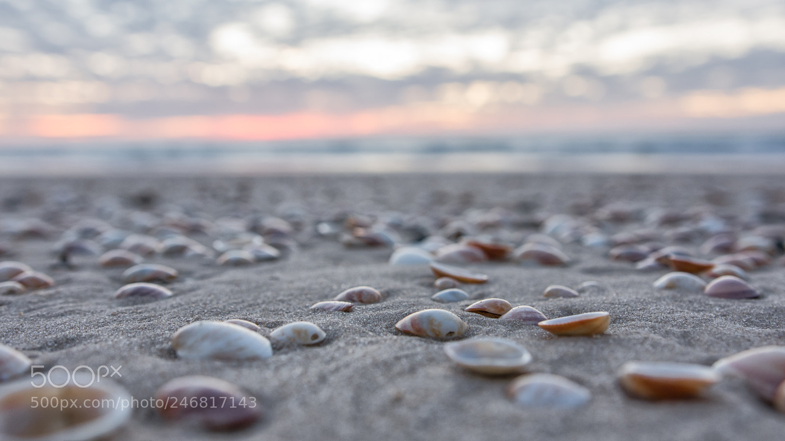 Nikon D7200 sample photo. Sunset in israel photography