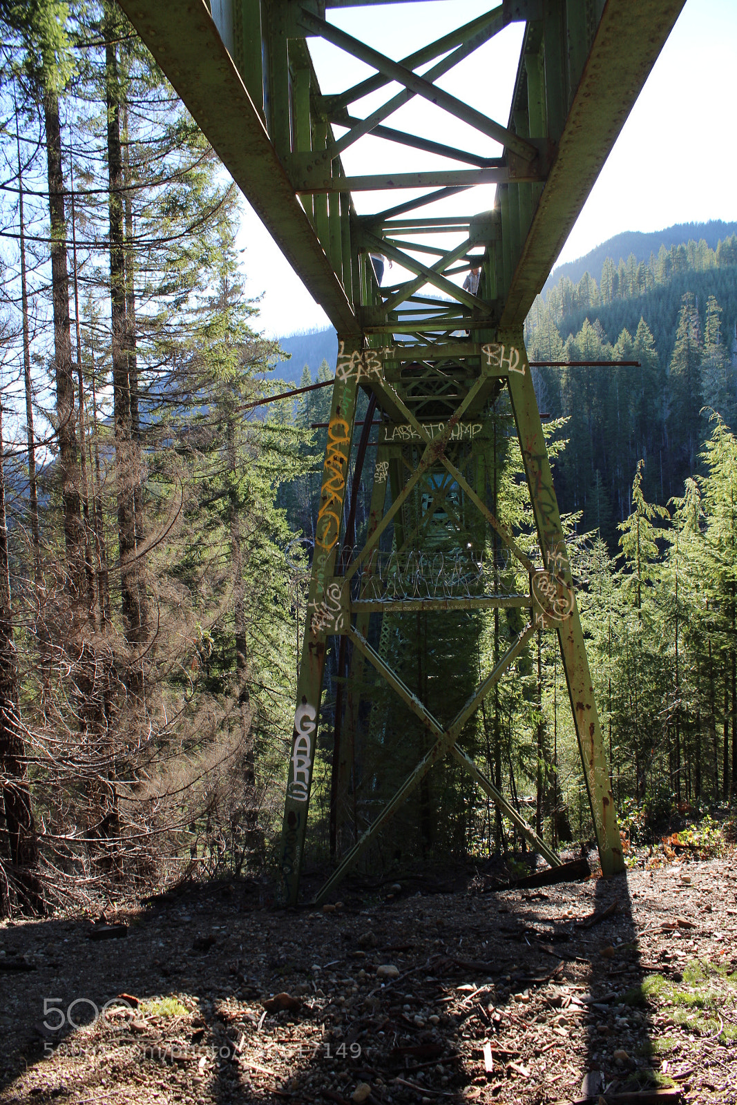 Canon EOS 1300D (EOS Rebel T6 / EOS Kiss X80) sample photo. Vance creek bridge photography