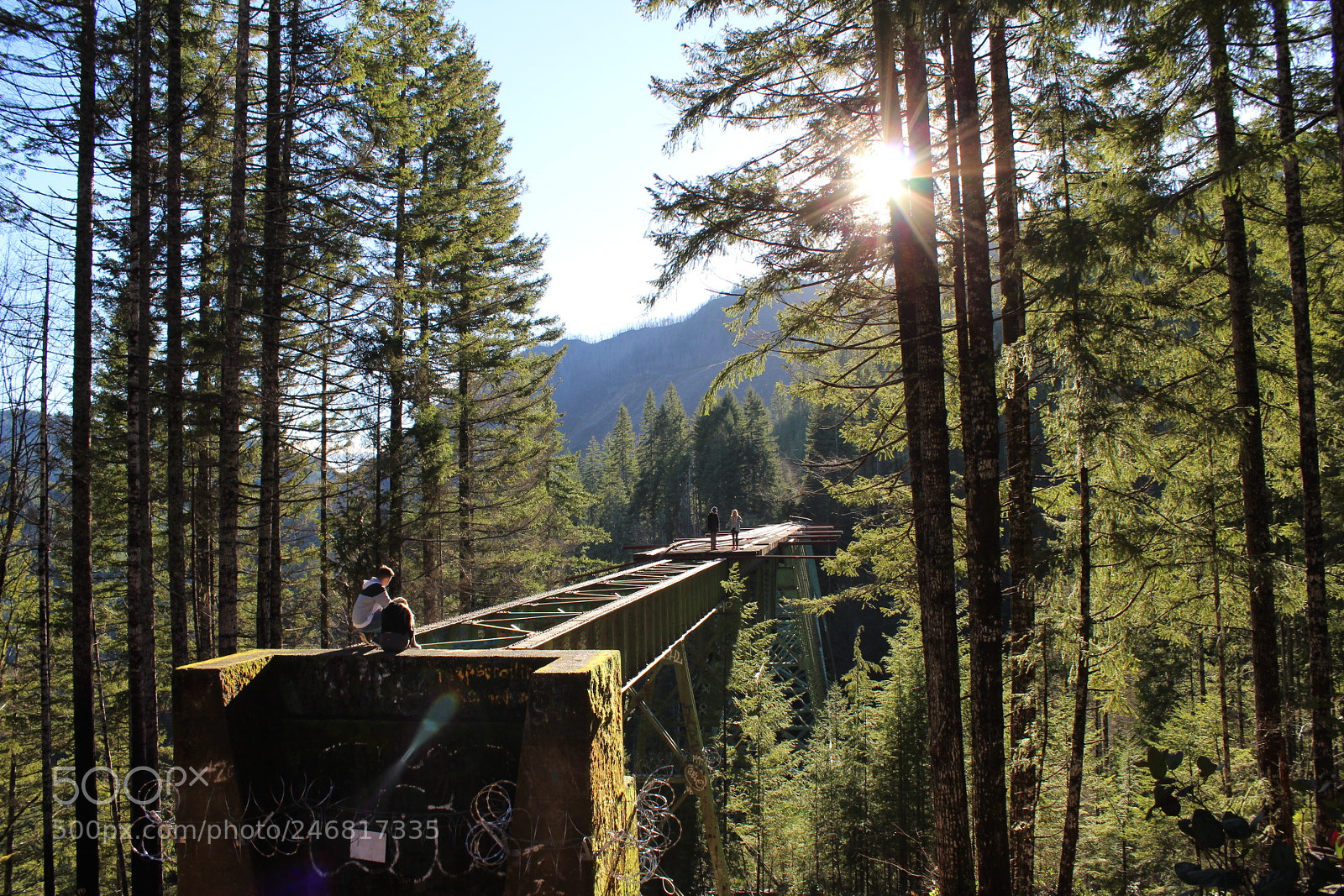 Canon EOS 1300D (EOS Rebel T6 / EOS Kiss X80) sample photo. Vance creek bridge photography