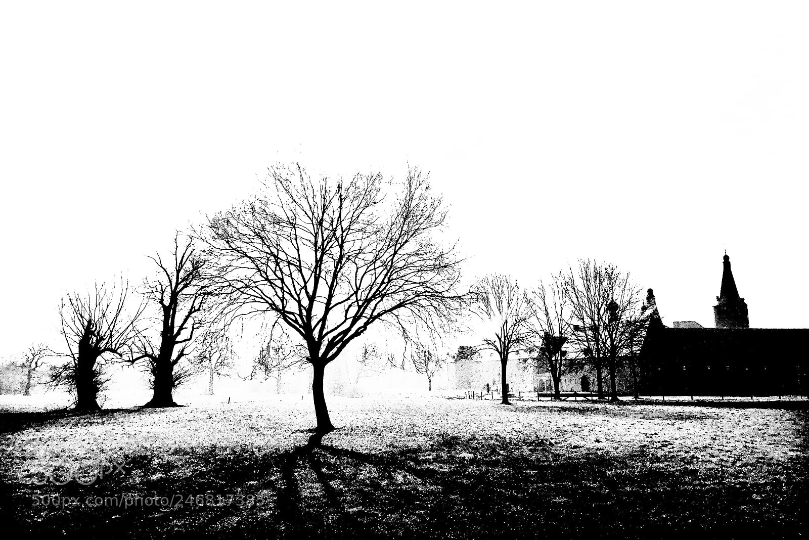 Apple iPhone X sample photo. Walking in limburg photography