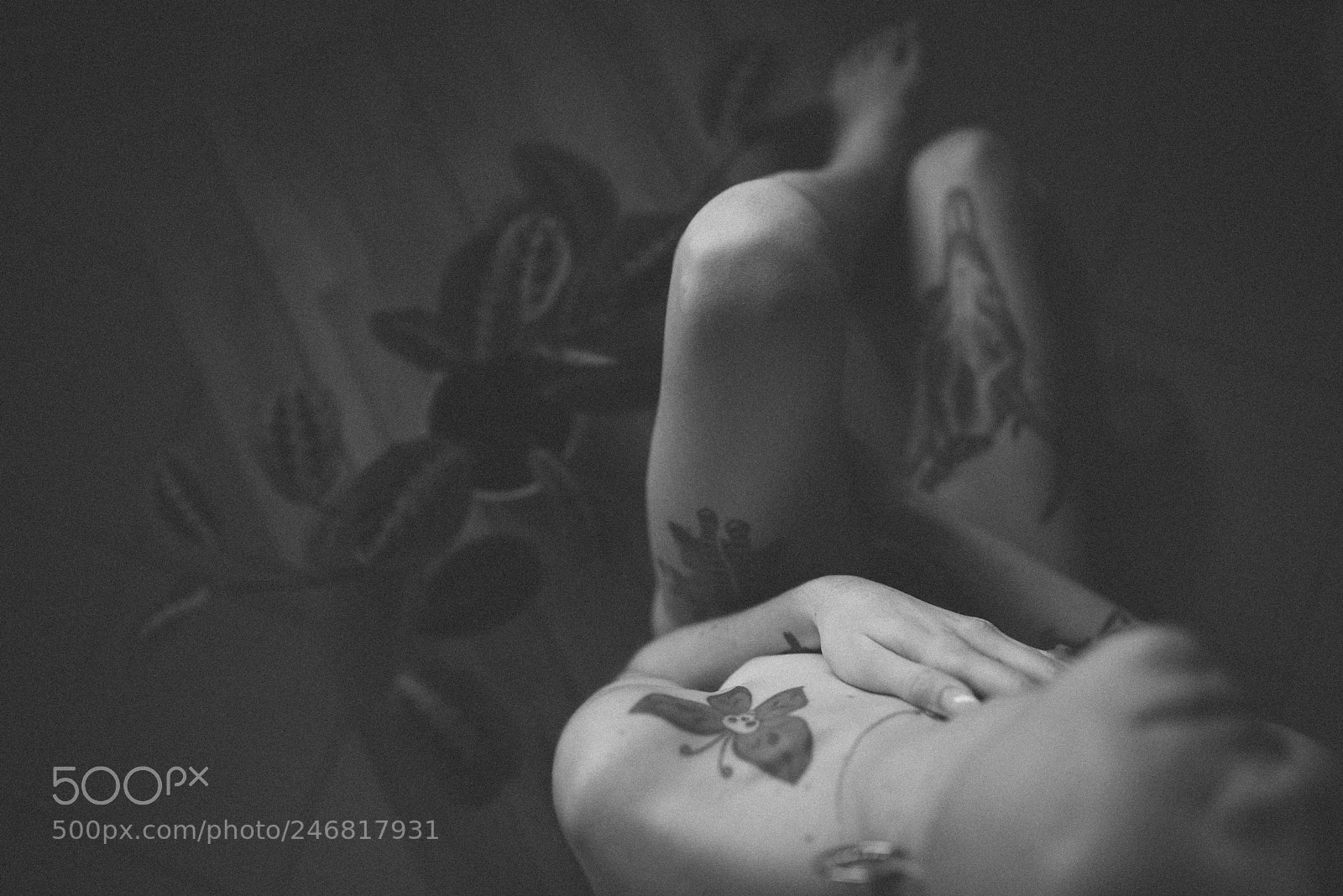 Nikon D810 sample photo. Artistic nude photography