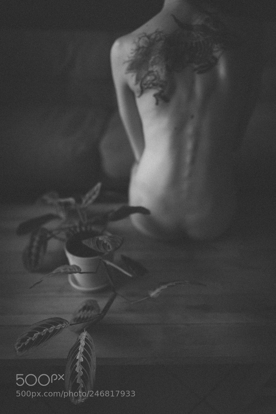 Nikon D810 sample photo. Artistic nude photography