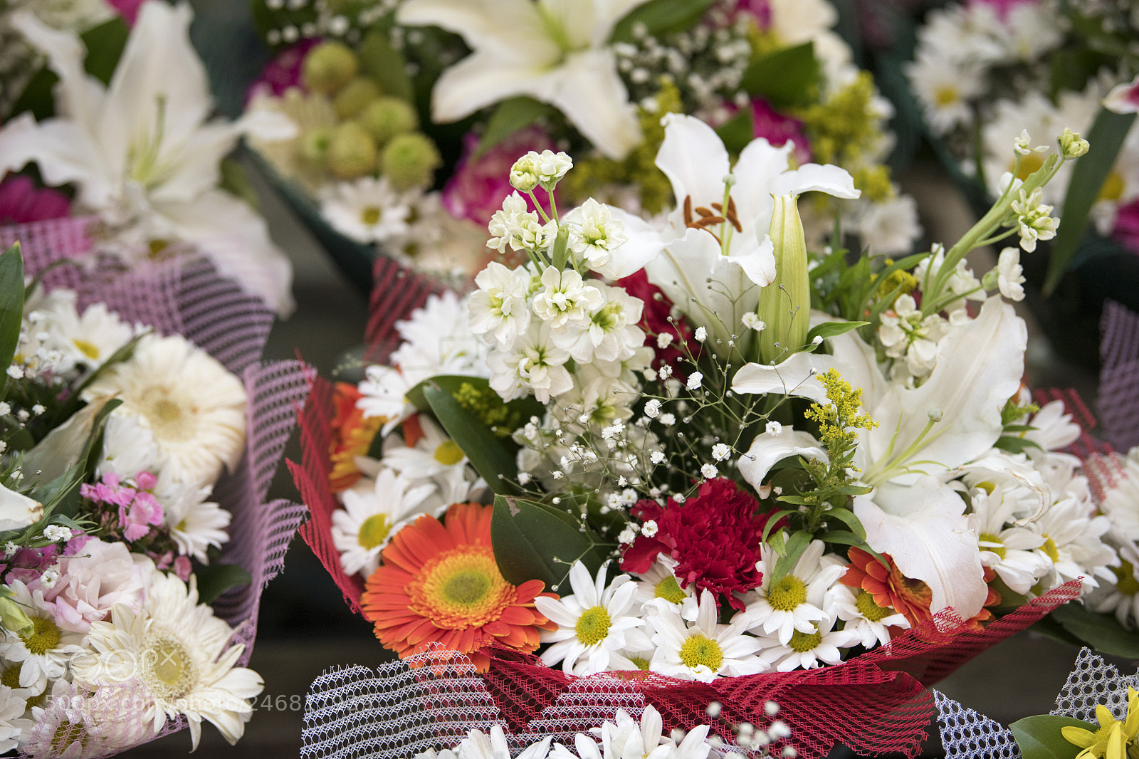 Nikon D850 sample photo. Flowers photography