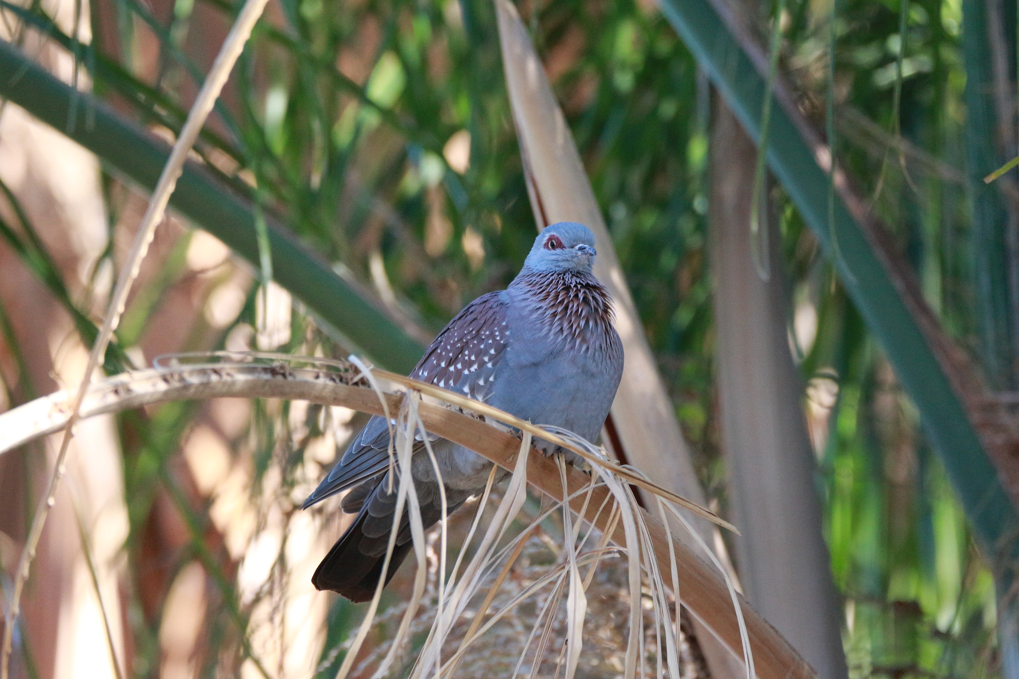 Sigma 150-600mm F5-6.3 DG OS HSM | C sample photo