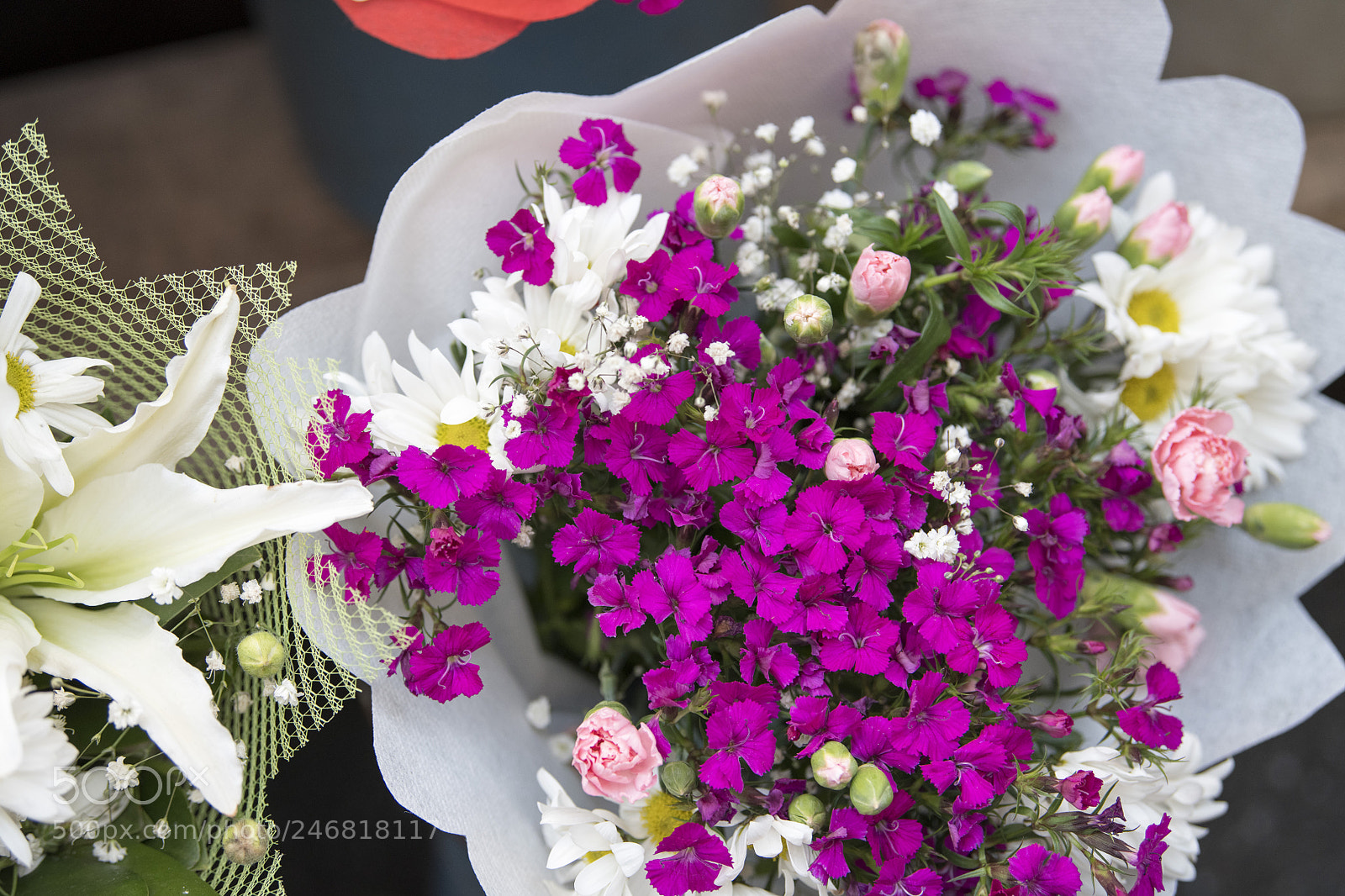 Nikon D850 sample photo. Flowers photography