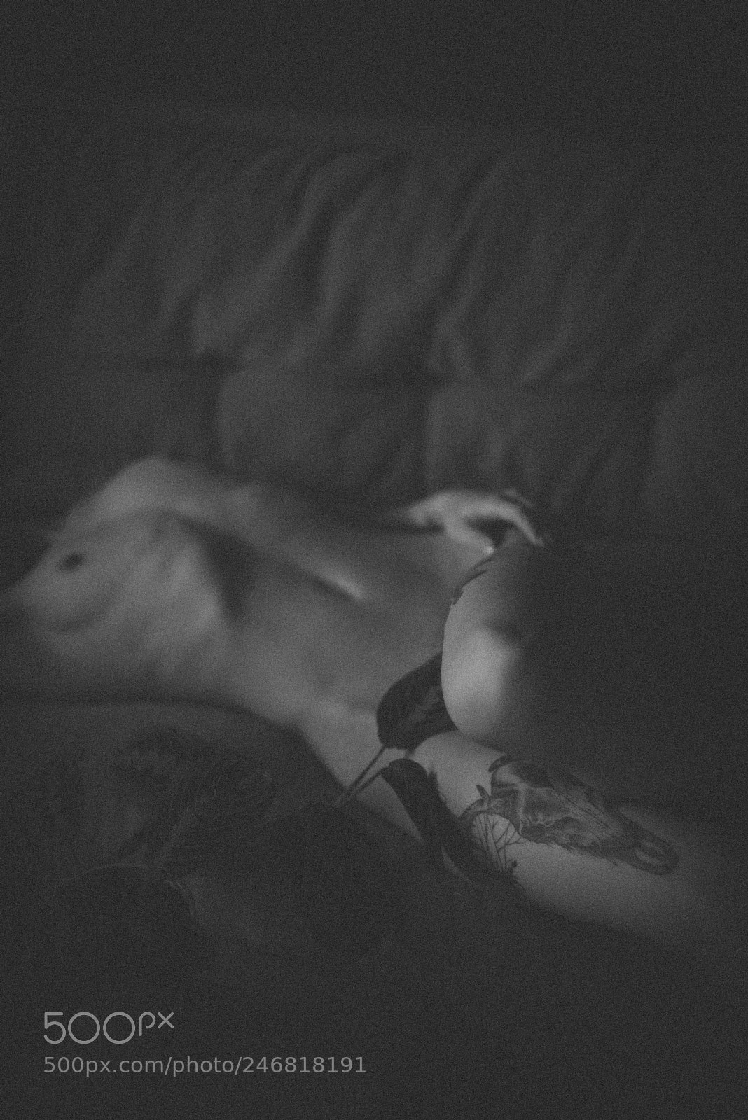 Nikon D810 sample photo. Artistic nude photography