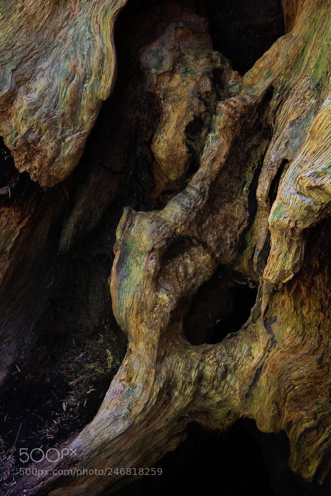 Canon EOS 60D sample photo. 1000 years photography