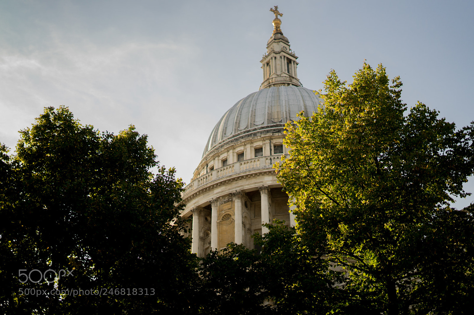 Sony a7 sample photo. Dsc photography