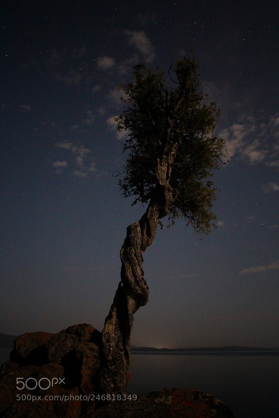Canon EOS 60D sample photo. Manidoo-giizhikens - she stands photography