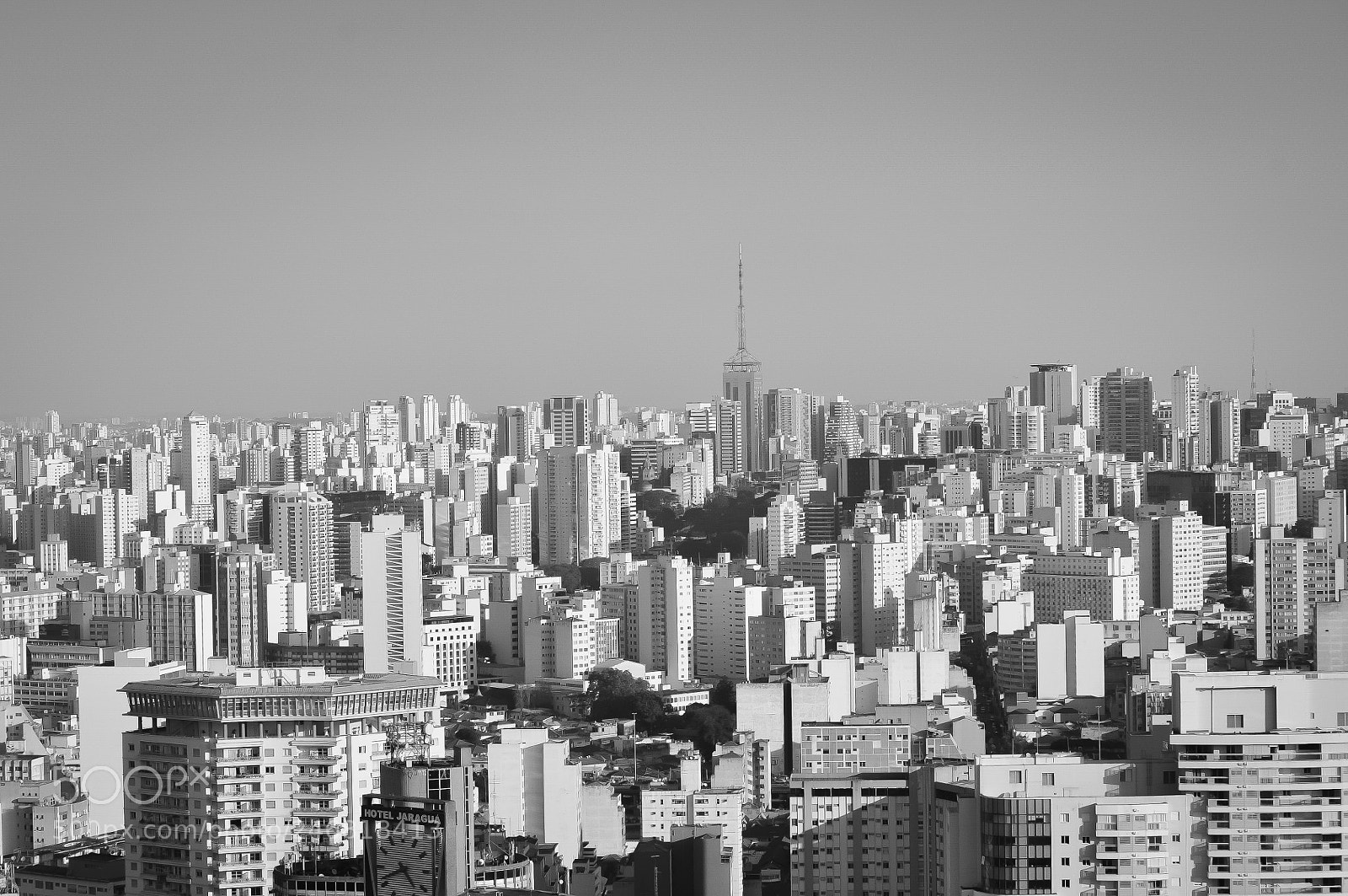 Nikon D5000 sample photo. Big sp photography