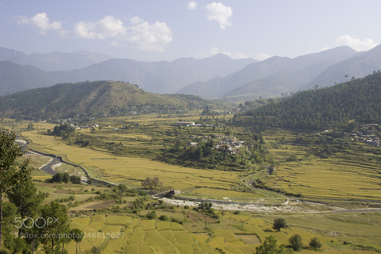 Canon EOS 600D (Rebel EOS T3i / EOS Kiss X5) sample photo. Green fields photography