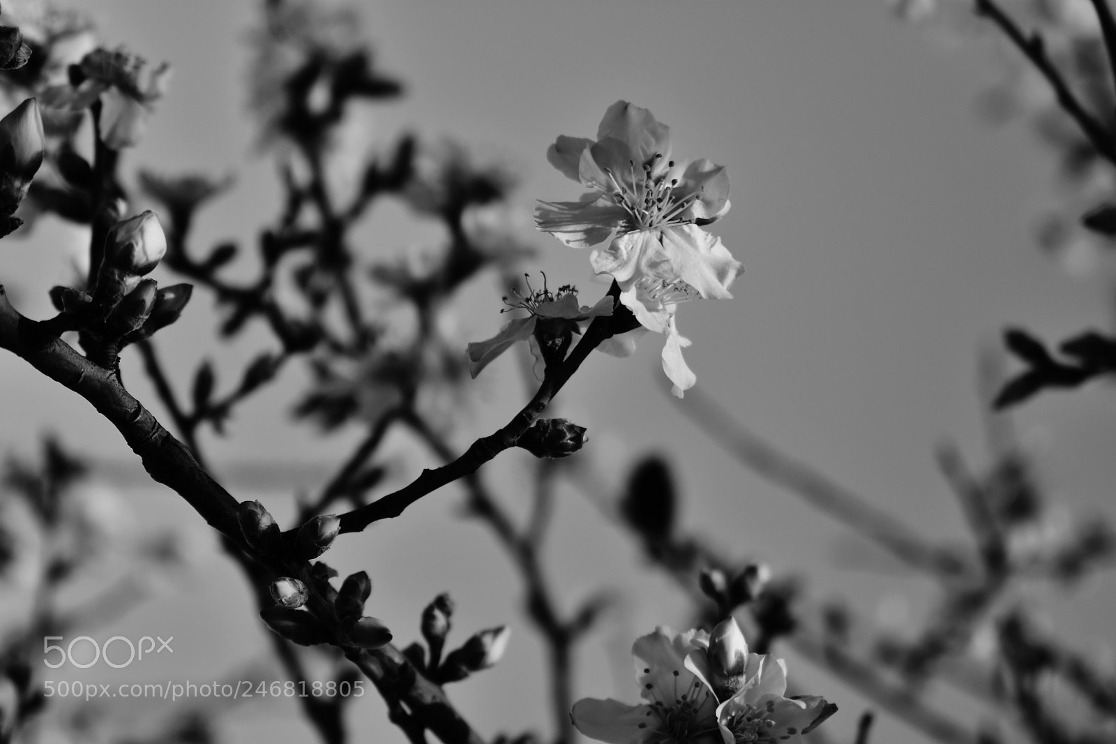 Nikon D3400 sample photo. Untitle photography