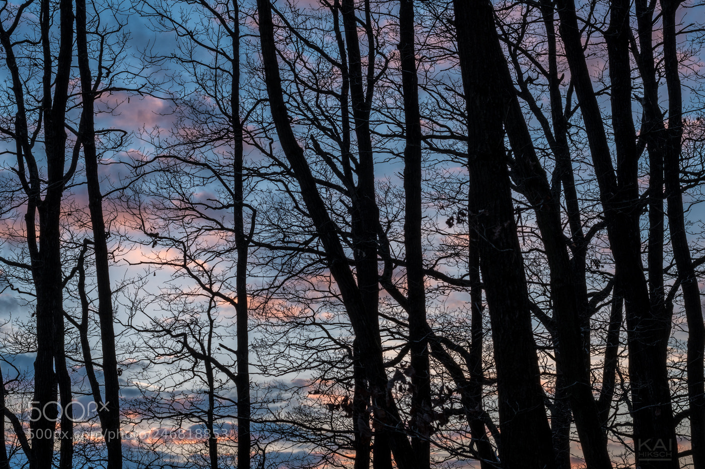 Nikon D500 sample photo. Beyond the trees photography