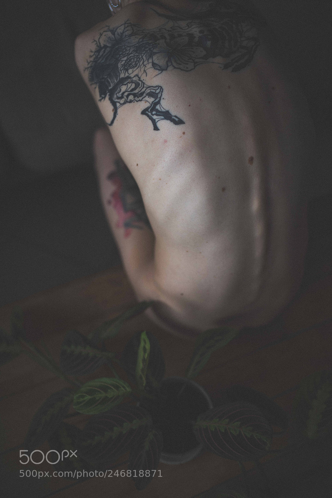 Nikon D810 sample photo. Artistic nude photography