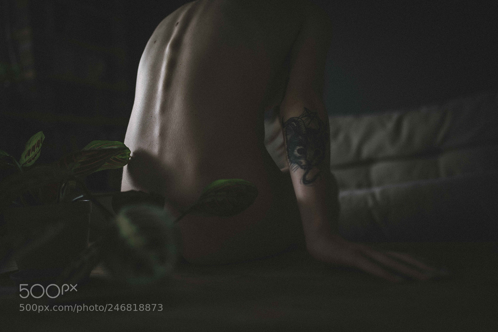 Nikon D810 sample photo. Artistic nude photography
