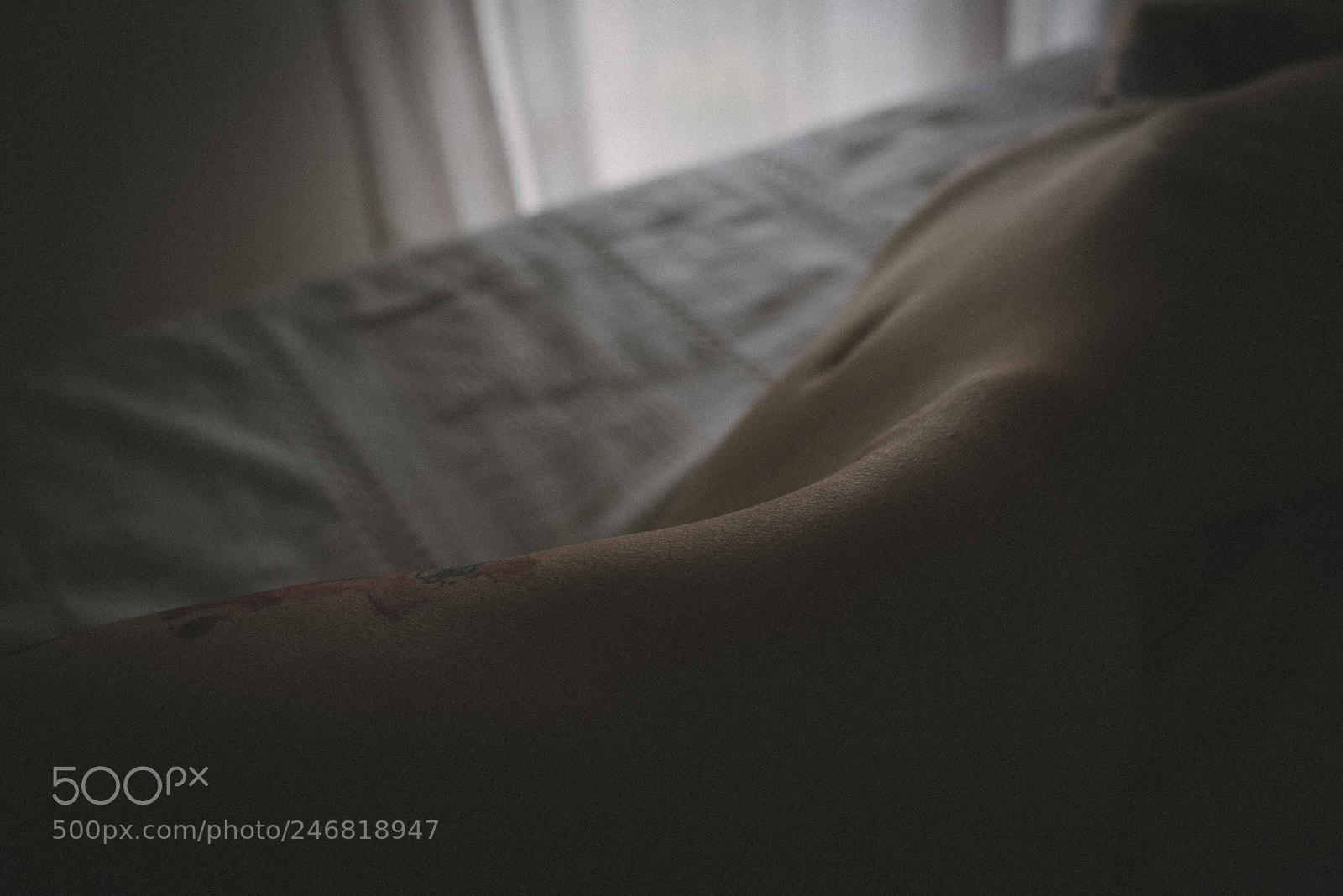Nikon D810 sample photo. Artistic nude photography