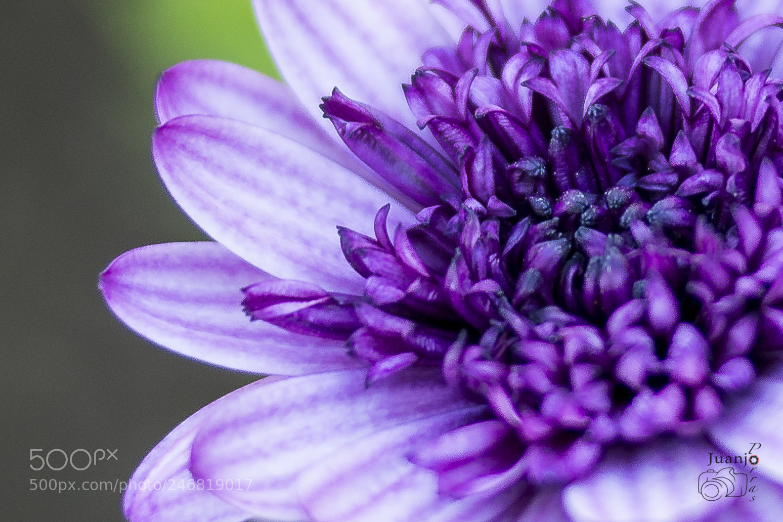Nikon D5200 sample photo. Untitled photography