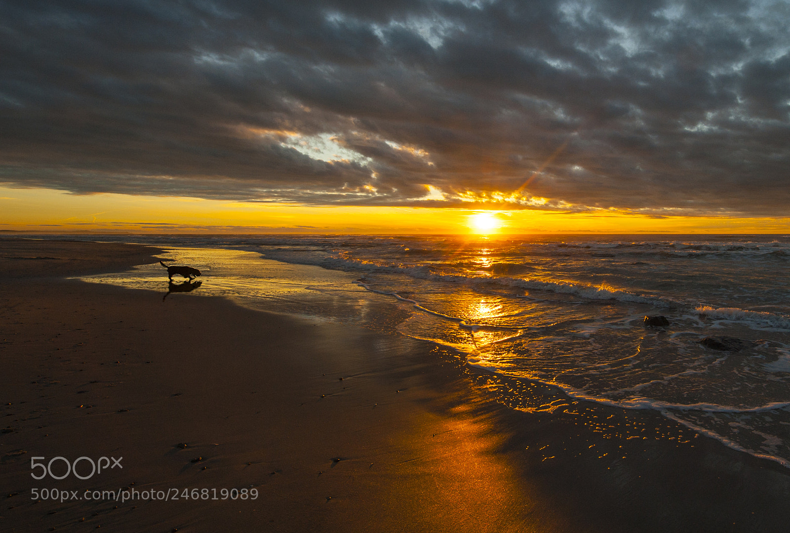 Nikon D700 sample photo. Sunset idyll photography