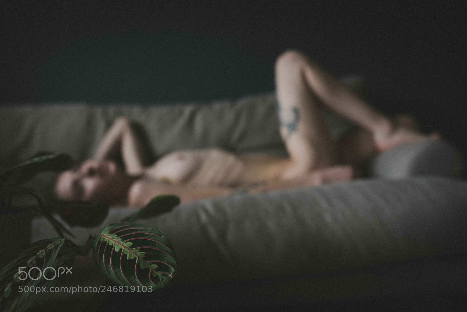 Nikon D810 sample photo. Artistic nude photography