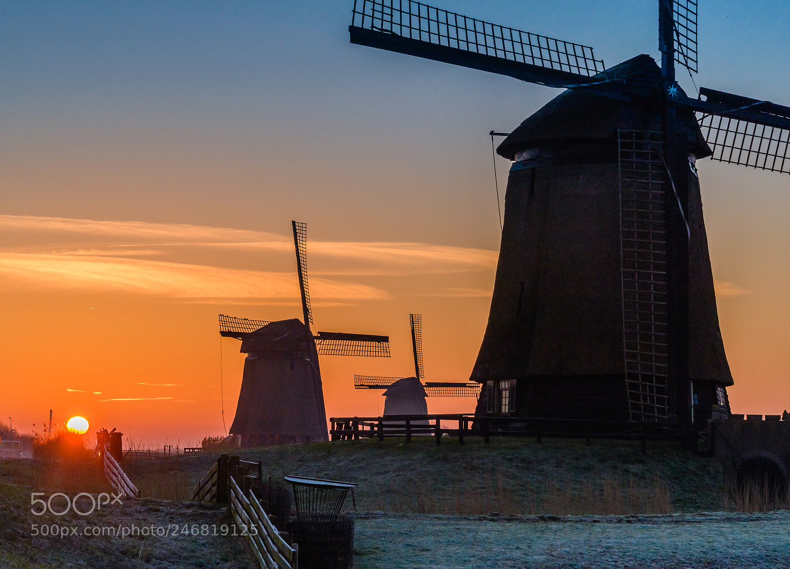 Nikon D610 sample photo. Schermermolens photography