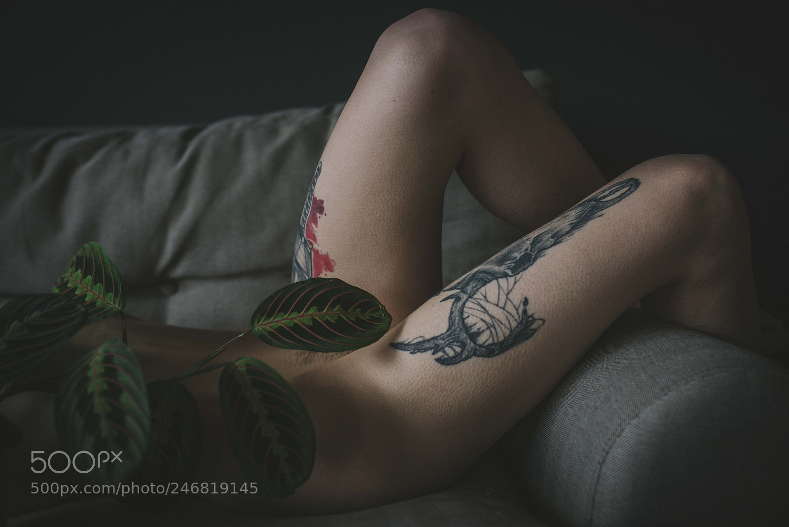 Nikon D810 sample photo. Artistic nude photography